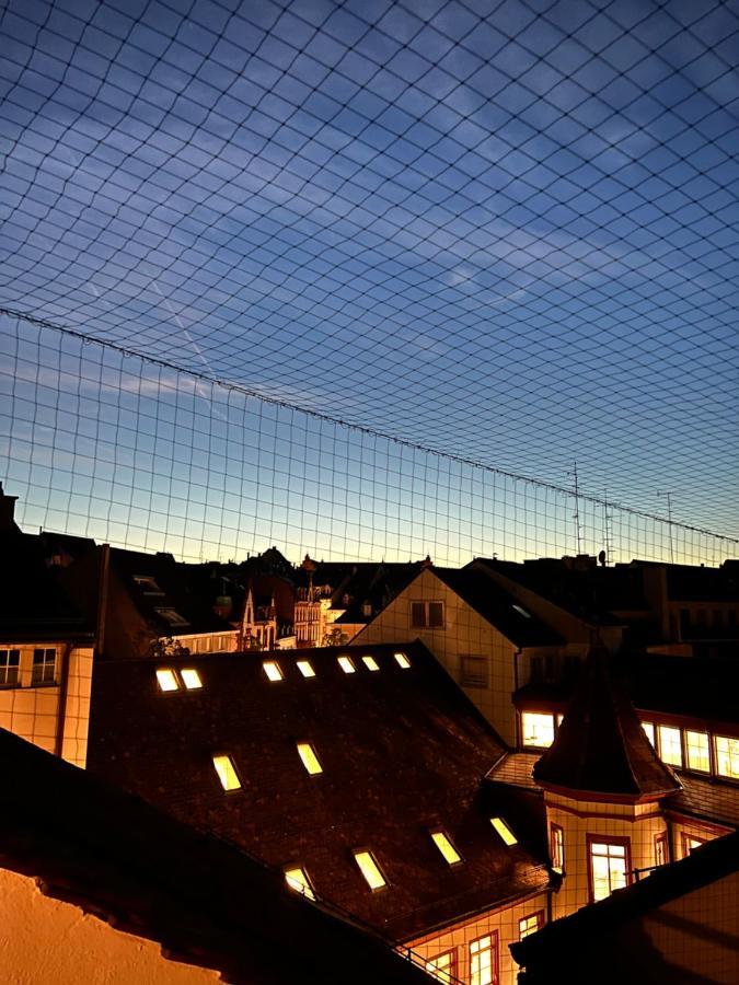 Center Rooftop Balcony-studio At Town Hall Appartement Bazel