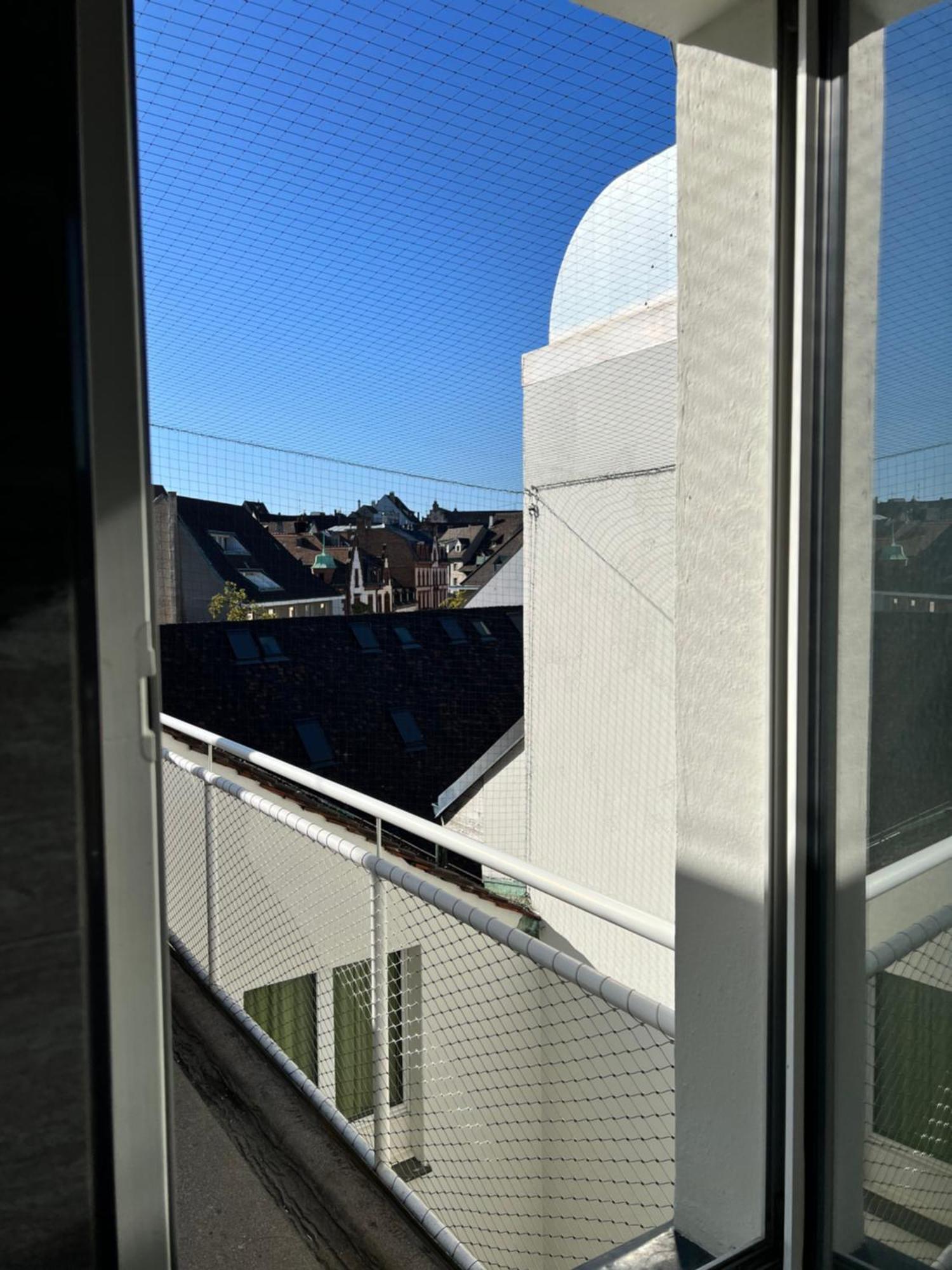 Center Rooftop Balcony-studio At Town Hall Apartment Basel